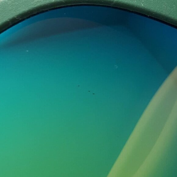 NWOT Havaianas green frame yellow temples & green mirrored lens sunglasses - Picture 9 of 10